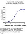 Human HGF Protein, Ultra Low Endotoxin (HGF-HM201-UL)