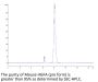 Mouse HGFA Protein (pro form) (HGF-MM10A)