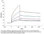 Biotinylated Cynomolgus HLA-G&B2M&Peptide (RIIPRHLQL) Monomer Protein (HLG-CM41CB)