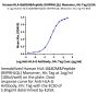 Human HLA-G&B2M&Peptide (RIIPRHLQL) Monomer Protein (HLG-HM41C)