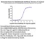Biotinylated Human HLA-G&B2M&Peptide (RIIPRHLQL) Monomer Protein (HLG-HM41CB)