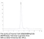 Human HLA-G&B2M&Peptide (RIIPRHLQL) Tetramer Protein (HLG-HM41CT)