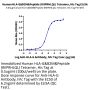 Human HLA-G&B2M&Peptide (RIIPRHLQL) Tetramer Protein (HLG-HM41CT)