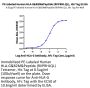 PE-Labeled Human HLA-G&B2M&Peptide (RIIPRHLQL) Tetramer Protein (HLG-HM41CTP)