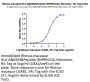 Rhesus macaque HLA-G&B2M&Peptide (RIIPRHLQL) Monomer Protein (HLG-RM41C)