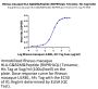 Rhesus macaque HLA-G&B2M&Peptide (RIIPRHLQL) Tetramer Protein (HLG-RM41CT)
