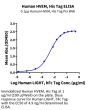 Human HVEM/TNFRSF14 Protein (HVE-HM111)