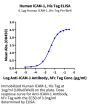 Human ICAM-1/CD54 Protein (ICM-HM101)