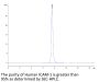 Human ICAM-1/CD54 Protein (ICM-HM101)