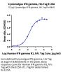 Cynomolgus IFN gamma/IFNG Protein (IFN-CM10G)
