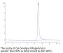 Cynomolgus IFN gamma/IFNG Protein (IFN-CM10G)