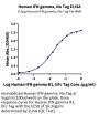Human IFN gamma/IFNG Protein (IFN-HM00G)