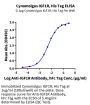 Cynomolgus IGF1R/CD221 Protein (IGF-CM41R)