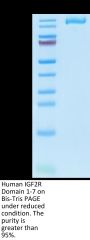 Human IGF2R Domain 1-7 Protein (IGF-HM1RE)