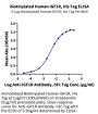 Biotinylated Human IGF1R/CD221 Protein (IGF-HM41RB)