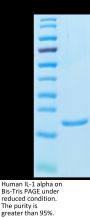 Human IL-1 alpha/IL-1A Protein (IL1-HE00A)