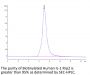 Biotinylated Human IL-1 Rrp2/IL-1 R6 Protein (IL1-HM4L2B)