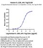 Human IL-23R Protein (ILR-HM323)