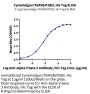 Cynomolgus Integrin alpha V beta 3 (ITGAV&ITGB3) Heterodimer Protein (ITG-CM1V3)
