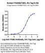 Human Integrin alpha M beta 2 (ITGAM&ITGB2) Heterodimer Protein (ITG-HM1MB)