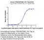 Human Integrin alpha V beta 3 (ITGAV&ITGB3) Heterodimer Protein (ITG-HM2V3)