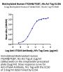 Biotinylated Human Integrin alpha 4 beta 7 (ITGA4&ITGB7) Heterodimer Protein (ITG-HM447B)