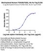 Biotinylated Human Integrin alpha V beta 5 (ITGAV&ITGB5) Heterodimer Protein (ITG-HM4V5B)