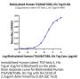 Biotinylated Human Integrin alpha V beta 6 (ITGAV&ITGB6) Heterodimer Protein (ITG-HM4V6B)