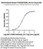 Biotinylated Human Integrin alpha V beta 6 (ITGAV&ITGB6) Heterodimer Protein (ITG-HM4V6B)
