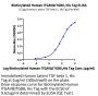 Biotinylated Human Integrin alpha V beta 8 (ITGAV&ITGB8) Heterodimer Protein (ITG-HM4V8B)