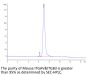 Mouse Integrin alpha V beta 3 (ITGAV&ITGB3) Heterodimer Protein (ITG-MM1V3)