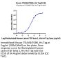 Mouse Integrin alpha V beta 6 (ITGAV&ITGB6) Heterodimer Protein (ITG-MM1V6)