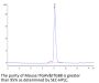 Mouse Integrin alpha V beta 8 (ITGAV&ITGB8) Heterodimer Protein (ITG-MM1V8)