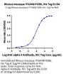 Rhesus macaque Integrin alpha V beta 6 (ITGAV&ITGB6) Heterodimer Protein (ITG-RM1V6)