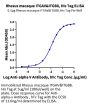 Rhesus macaque Integrin alpha V beta 8 (ITGAV&ITGB8) Heterodimer Protein (ITG-RM1V8)