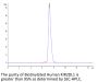 Biotinylated Human KIR2DL1 Protein (KIR-HM4L1B)