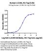 Human L1CAM Protein (LAM-HM101)