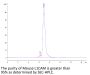 Mouse L1CAM Protein (LAM-MM101)