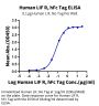 Human LIF R/CD118 Protein (LIF-HM20R)