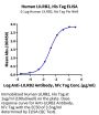 Human LILRB2/CD85d/ILT4 Protein (LIL-HM4B2)
