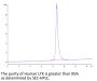 Human LTK Protein (LTK-HM101)