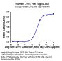 Human LY75/CD205 Protein (LY7-HM105)