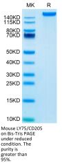 Mouse LY75/CD205 Protein (LY7-MM105)