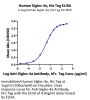 Human Siglec-4a/MAG Protein (MAG-HM101)