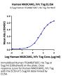 Human MADCAM1 Protein, Ultra Low Endotoxin (MCM-HM201-UL)