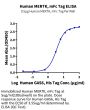 Human MERTK/Mer Protein (MEK-HM301)