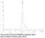 Human MERTK/Mer Protein (MEK-HM301)