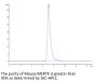 Mouse MERTK/Mer Protein (MEK-MM101)
