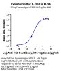 Cynomolgus HGF R/c-MET Protein, Ultra Low Endotoxin (MET-CM101-UL)