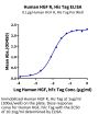 Human HGF R/c-MET Protein (MET-HM101)